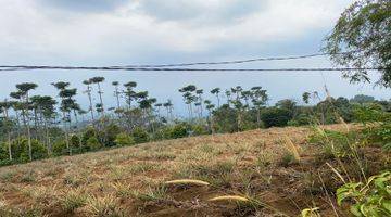 Gambar 3 Tanah Cijeruk Tajur Halang Cbest View  Murah Cocok Untuk Villa