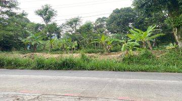 Gambar 3 Dijual Tanah Murah Di Cigombong Pinggir Jalan Utama Best View