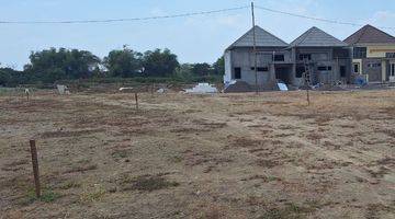 Gambar 1 Dijual Tanah Driyorejo Gresik