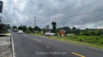 Gambar 3 Bungalow Unfinished Near Bedugul Nature