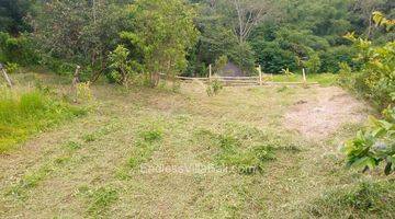 Gambar 1 Land Rent Near Bedugul Tanah Dekat Bedugul