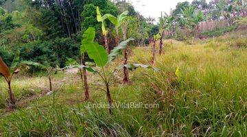 Gambar 5 Disewa Tanah Baturiti 32are Dekat Bedugul