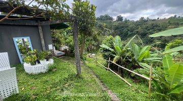 Gambar 4 Bungalow Unfinished Near Bedugul Nature