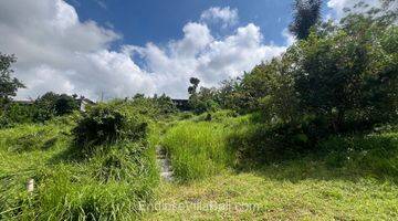 Gambar 5 Bungalow Unfinished Near Bedugul Nature