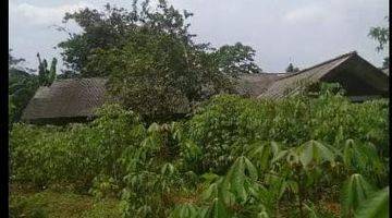 Gambar 2 Dijual tanah di pinggir jalan utama harga di bawah pbb harga masih nego