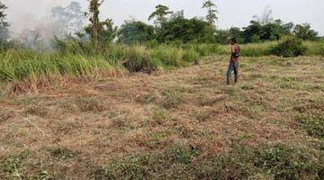 Gambar 4 Dawuan karawang timur, Lahan yang strategis di Dawuan Timur, karawang harga murah, 1 pemilik SHM