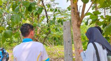 Gambar 5 Rumah Bersubsidi Spesial Dan Mewah Dekat Perkotaan 