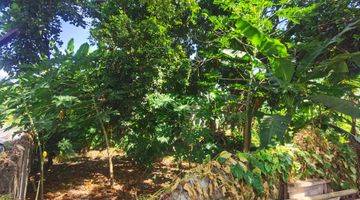 Gambar 4 Prime Strategic Land In Singaraja Available For Sale 