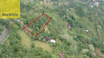 Gambar 1 Prime 3100 sqm Land  in Lovina Hills - Sea View & Green Scenery