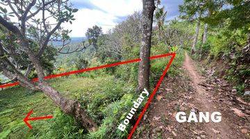 Gambar 5 Prime 3100 sqm Land  in Lovina Hills - Sea View & Green Scenery