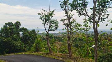 Gambar 5 Prime 3100 sqm Land  in Lovina Hills - Sea View & Green Scenery