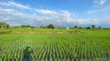 Gambar 1 BEACH FRONT LAND LOCATED IN SINGARAJA CITY SIDE