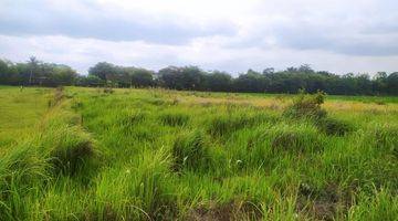 Gambar 5 Tanah Luas 7330 Meter Persegi Lokasi Dekat Kampus UMY Gamping Sleman