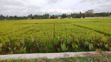 Gambar 2 Tanah Sawah Luas 1717 Meter Persegi Lokasi Dekat Bandata YIA