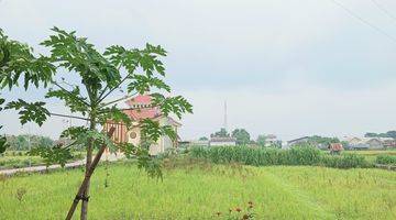 Gambar 1 Tanah Sawah Lokasi Strategis Dekat Pasar Hewan PASTY Dongkelan Bantul