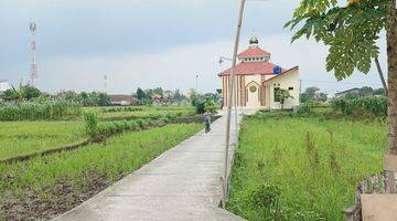 Gambar 3 Tanah Sawah Lokasi Strategis Dekat Pasar Hewan PASTY Dongkelan Bantul