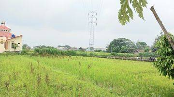 Gambar 2 Tanah Sawah Lokasi Strategis Dekat Pasar Hewan PASTY Dongkelan Bantul