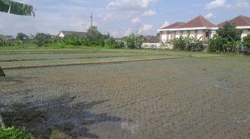 Gambar 1 Tanah Sawah Luas 1088 Meter Persegi Lokasi Jl Ring Road Selatan, Dongkelan Bantul