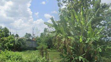 Gambar 4 Tanah Sawah Luas 706 Meter Persegi Lokasi Bambanglipuro Bantul