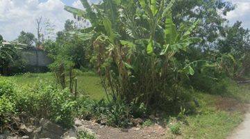 Gambar 1 Tanah Sawah Luas 706 Meter Persegi Lokasi Bambanglipuro Bantul