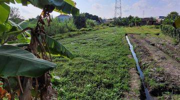 Gambar 4 Tanah Sawah Luas 1769 Meter Persegi Lokasi Dekat Terminal Giwangan Banguntapan Bantul