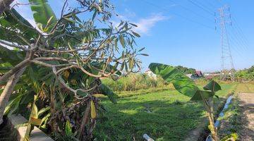 Gambar 2 Tanah Sawah Luas 1769 Meter Persegi Lokasi Dekat Terminal Giwangan Banguntapan Bantul