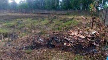 Gambar 1 Dijual Cepat Tanah di Jalan Raya Pohon Jati