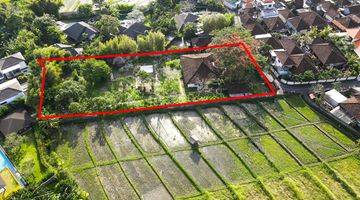 Gambar 3 Jarang Ada Tanah View Sawah di Kuwum, Umalas Kerobokan