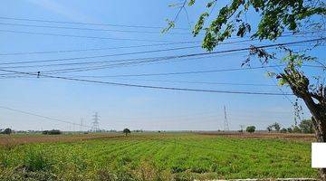 Gambar 5 Tanah Sawah Di Jalan Raya Tambelang