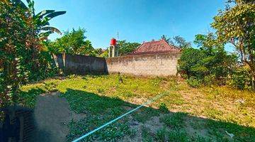 Gambar 3 Tanah Bagus Sekitar Jalan Kaliurang Yogyakarta 