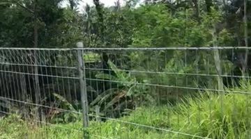 Gambar 1 972 Sq m of Freehold Land with Amazing Ricefield Views and River Located Pejeng Ubud