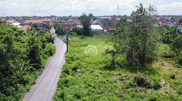 Gambar 4 Freehold Land For Sale In Cepaka Munggu 