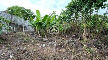 Gambar 1 Land For Sale In Beachside Area Of Pererenan