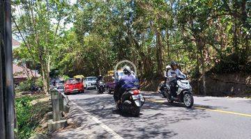 Gambar 5 Lahan Premium Los Sungai di Ubud Bali View Jungle