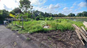 Gambar 4 Lahan Cantik Jalan Pantai Kedungu View Sawah