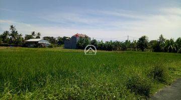 Gambar 5 Lahan Cantik Jalan Pantai Kedungu View Sawah