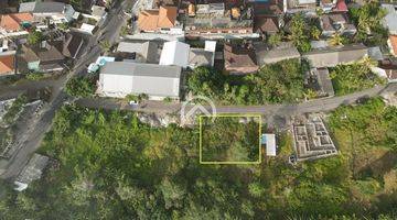 Gambar 1 Freehold Land For Sale In Cepaka Munggu 