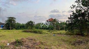 Gambar 4 Freehold Land For Sale In Cepaka Munggu 