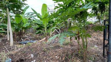 Gambar 4 Land For Sale In Beachside Area Of Pererenan