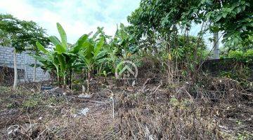 Gambar 5 Land For Sale In Beachside Area Of Pererenan