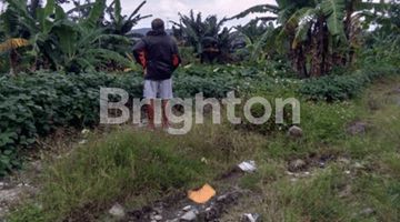 Gambar 3 TANAH ZONA INDUSTRI UNGARAN SIAP BANGUN PABRIK ATAU GUDANG DEKAT AKSES TOL