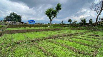 Gambar 5 X070 Tanah Kavling Selangkah Dari Balaikota Among Tani Batu 