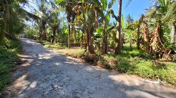 Gambar 4 Beach Land Saba ,bali.