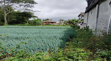 Gambar 3 Dijual Tanah Kosong Di Tabanan Bali