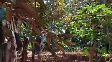 Gambar 1 Tanah Kebun di Kecandran Sidomukti Salatiga