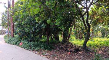 tampak depan *dijual tanah kebun di pondok