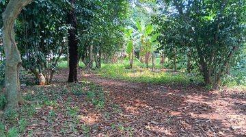 foto lainnya *dijual tanah kebun di pondok