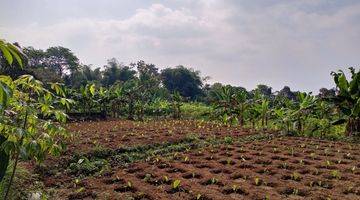 Gambar 1 Tanah di Bogor nempel jalan raya Cijeruk 1 hektar 