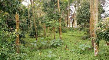 Gambar 4 Tanah cijeruk Bogor luas 1500m SHM kaki gunung salak 