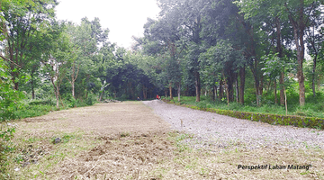 Gambar 1 Beli Tanah SHM Murah Dekat Taman Buah Mekarsari Sekarang 